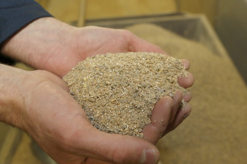 Potential shortage of poultry feed following German blaze.