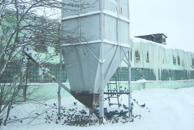 Wild birds feeding. Photo: Roodbont