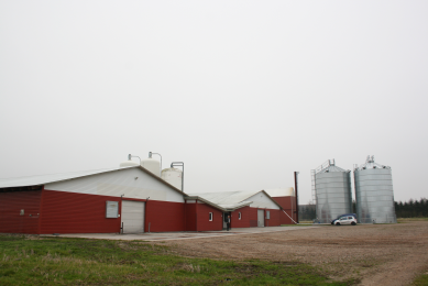 Danish broiler sector offers opportunities and problems