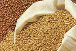 Kenyan poultry feed miller reports big drop in profits