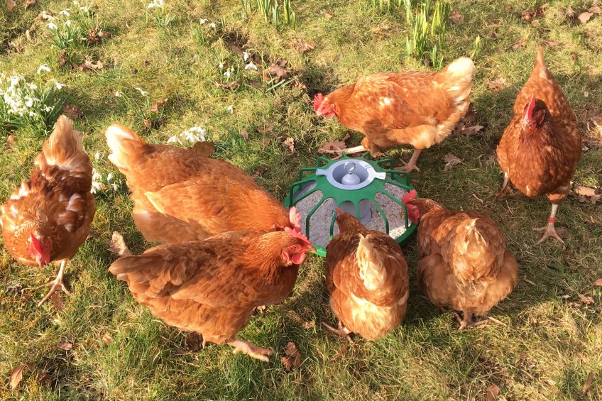 Vencomatic's Pecking Pan. Photo: Vencomatic