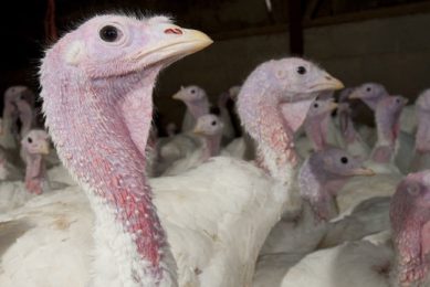 Photo: FLPA/Rex/Shutterstock