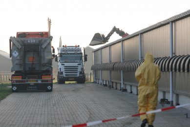 No region safe from avian influenza . Photo: Fabian Brockotter