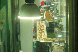 The establishment of a traceability system will control the entire path of the product in the processing chain.