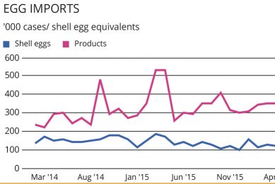 Summer lull threatens egg price given record UK flock