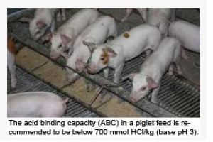 How feeding can support intestinal health (2)