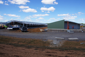 Aviagen Australia fully invested in new facilities