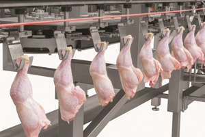 Foodmate develops dark meat deboning system