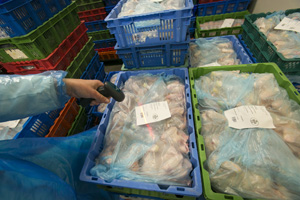 Significant drop in US poultry imports to Russia