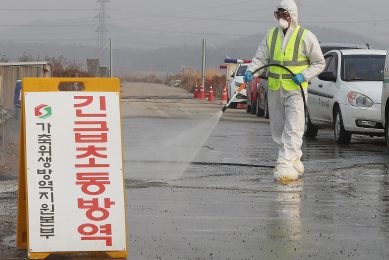 OIE launches avian influenza web portal. Photo credit: EPA/Yonhap South Korea out