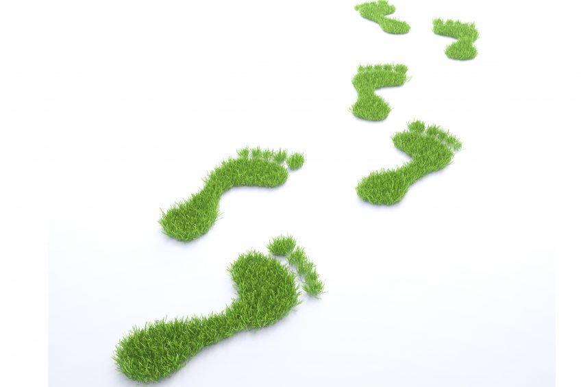 Environmental footprint of the egg industry revealed. Photo: Shutterstock
