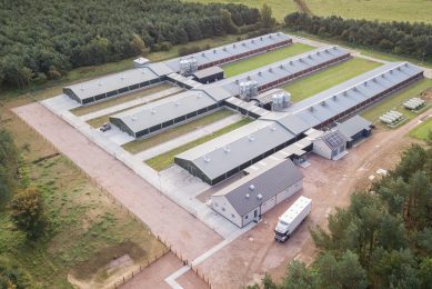 Aviagen s investment in UK breeding programme continues. Photo: Aviagen