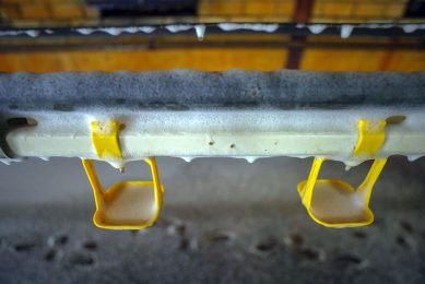 Giving the cleaning agent enough time to work is essential to get good results. Photo: Bert Jansen