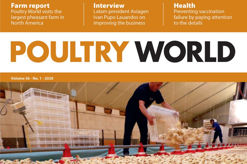 The 1st edition of Poultry World 2020 is now online