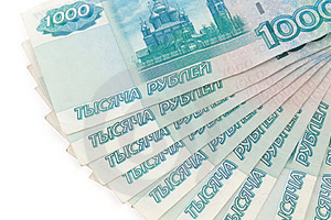 Russian bank subsidises poultry expansion plans