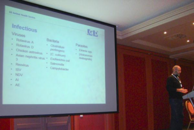 Gut health perspectives