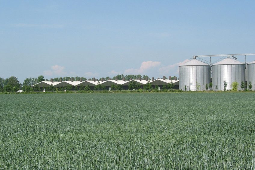 Farms across the Ukraine are ramping up production to meet national and international demand. Photo Robert Bodde