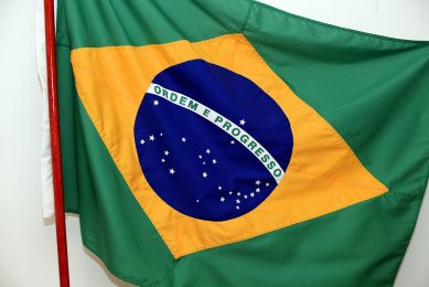 Poultry meat from Brazil is still in high demand, but at lower prices. Photo: Henk Riswick