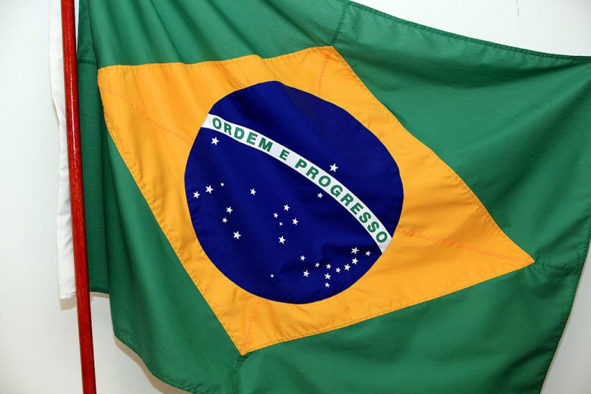 Poultry meat from Brazil is still in high demand, but at lower prices. Photo: Henk Riswick