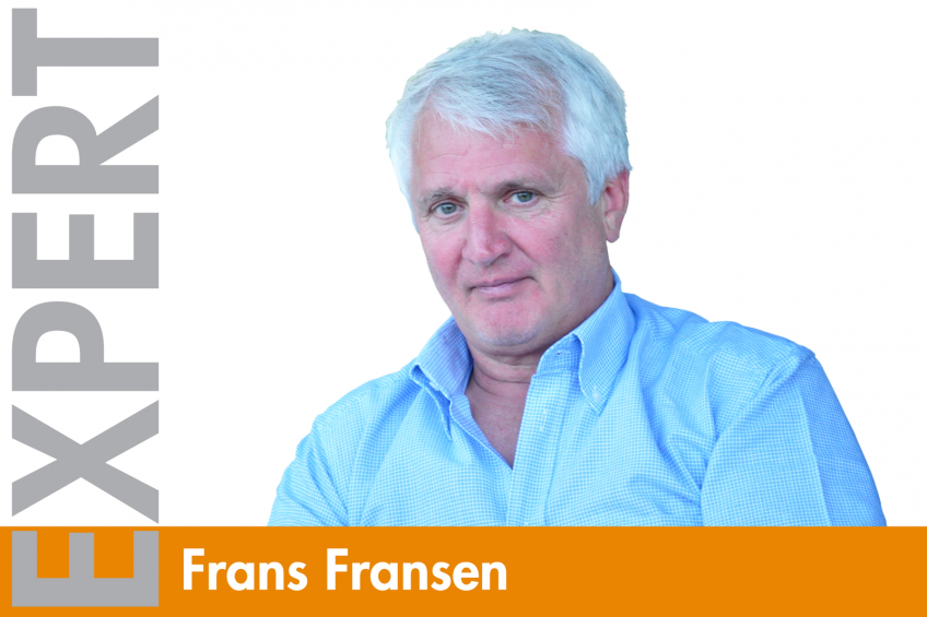 Brazilian poultry industry ( too big to fail