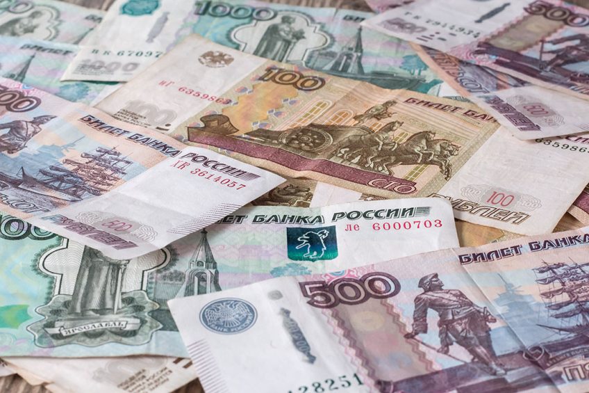During the first 8 months of the year, Rosselhozbank issued Rub47.4 billion (US$650 million) of loans to poultry exporters. Photo: Shutterstock