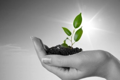 Reserve your space in our Sustainable Livestock Special