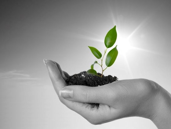 Reserve your space in our Sustainable Livestock Special