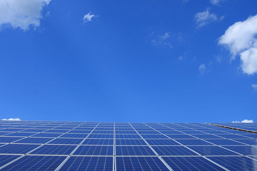 One of agriculture s most extensive solar and battery systems has been installed at a massive poultry farm in South Australia. Photo: andreas160578