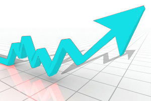 Vinnytsia poultry farm to boost production this year