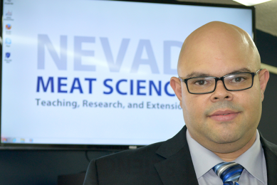 Reducing Salmonella in meat products by 90%