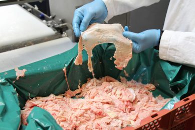The skin becomes a more and more important product, both from a valorization point of view and to reduce processing waste. Photo: Dick van Doorn