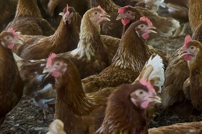 Photo: Broker/Rex/Shutterstock