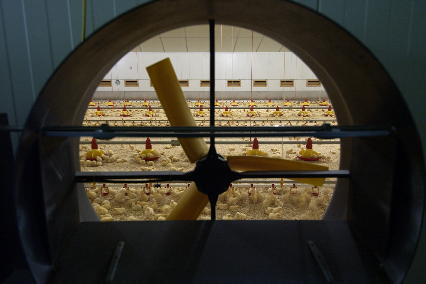 Target reduction in antibiotics: 70 percent