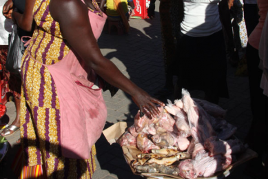 Analysis: Profitability of poultry feed market in Nigeria