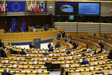 The European Parliament in Brussels where Belgium voted to allow meat denominations for plant-based products. Photo: ANP/Dursun Aydemir