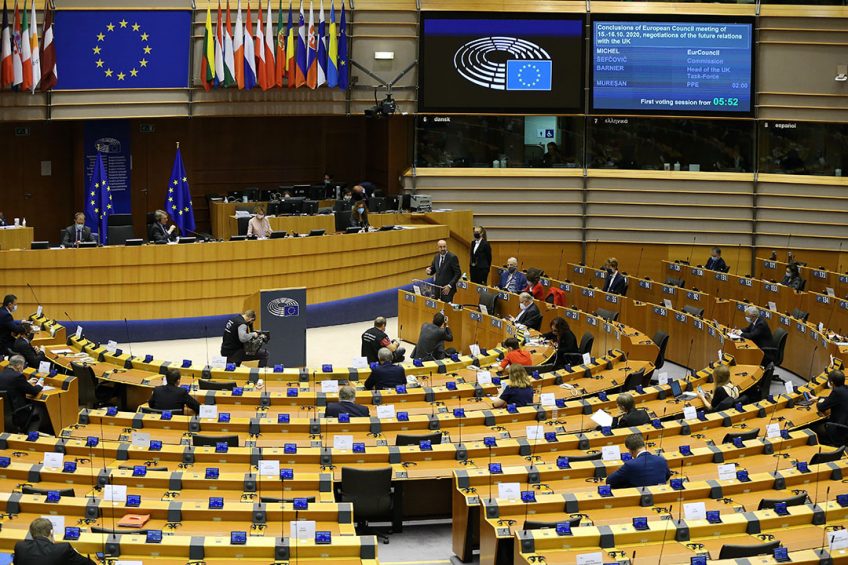 The European Parliament in Brussels where Belgium voted to allow meat denominations for plant-based products. Photo: ANP/Dursun Aydemir