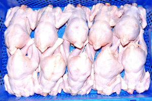 Sri Lanka eyes up poultry export markets