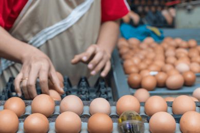 Update: Formaldehyde denial vote set for next week. Photo: Poultry World