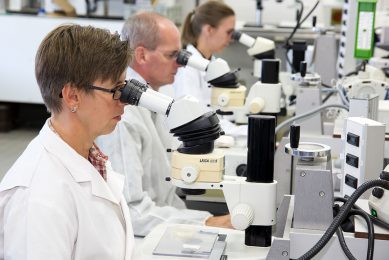 Researches at the UK s Pirbright Avian Immunology Group took an in-depth look at exactly how MDV hijacks the cholesterol pathway of poultry cells in order to replicate. Photo: Ruud Ploeg