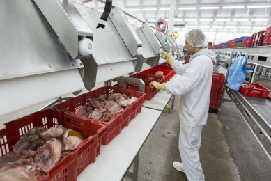 Barter deal between Russia and Iran for poultry