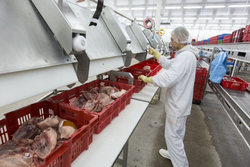 Barter deal between Russia and Iran for poultry