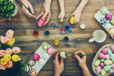 Hard to Crack: The secret of a strong eggshell. Photo: Alltech