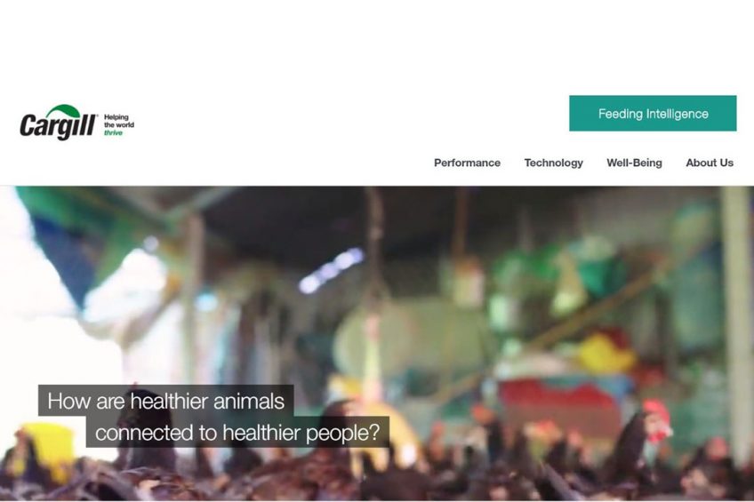New solutions and tools help livestock farmers run more efficient and sustainable operations with a shared goal of responsible, nutritious food. Photo: Cargill