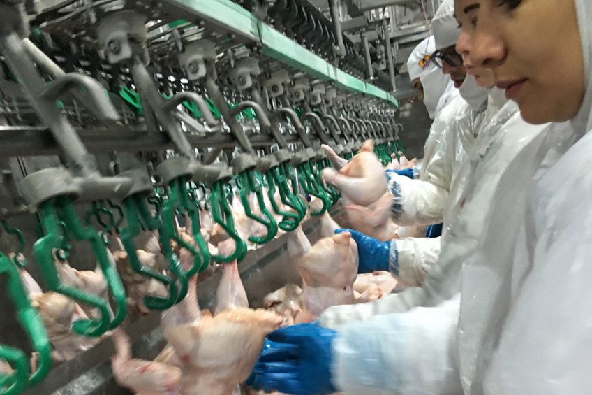 Workers in processing facilities work in close proximity, heightening the risk of Covid-19 transmission. Photo: Fabian Brockotter