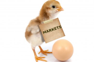 Photo: Shutterstock