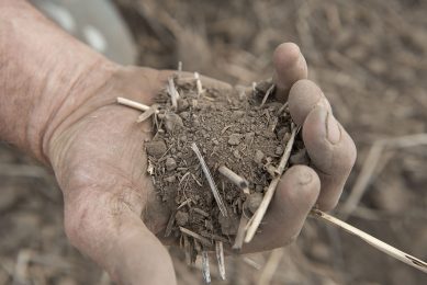 The study says that agriculture is threatening 86% of the 28,000+ plant and animal species known to be at risk of extinction. Photo: Mark Pasveer
