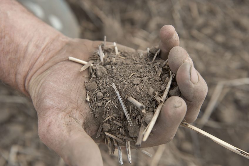 The study says that agriculture is threatening 86% of the 28,000+ plant and animal species known to be at risk of extinction. Photo: Mark Pasveer