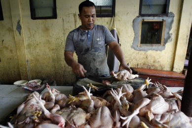 Photo: EPA/Hotli Simanjuntak