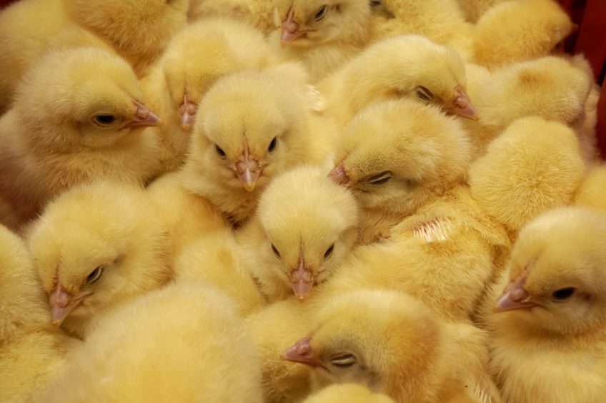 Photo: iStock