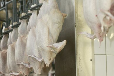 EU - SA dumping row intensified. Photo: Henk Riswick